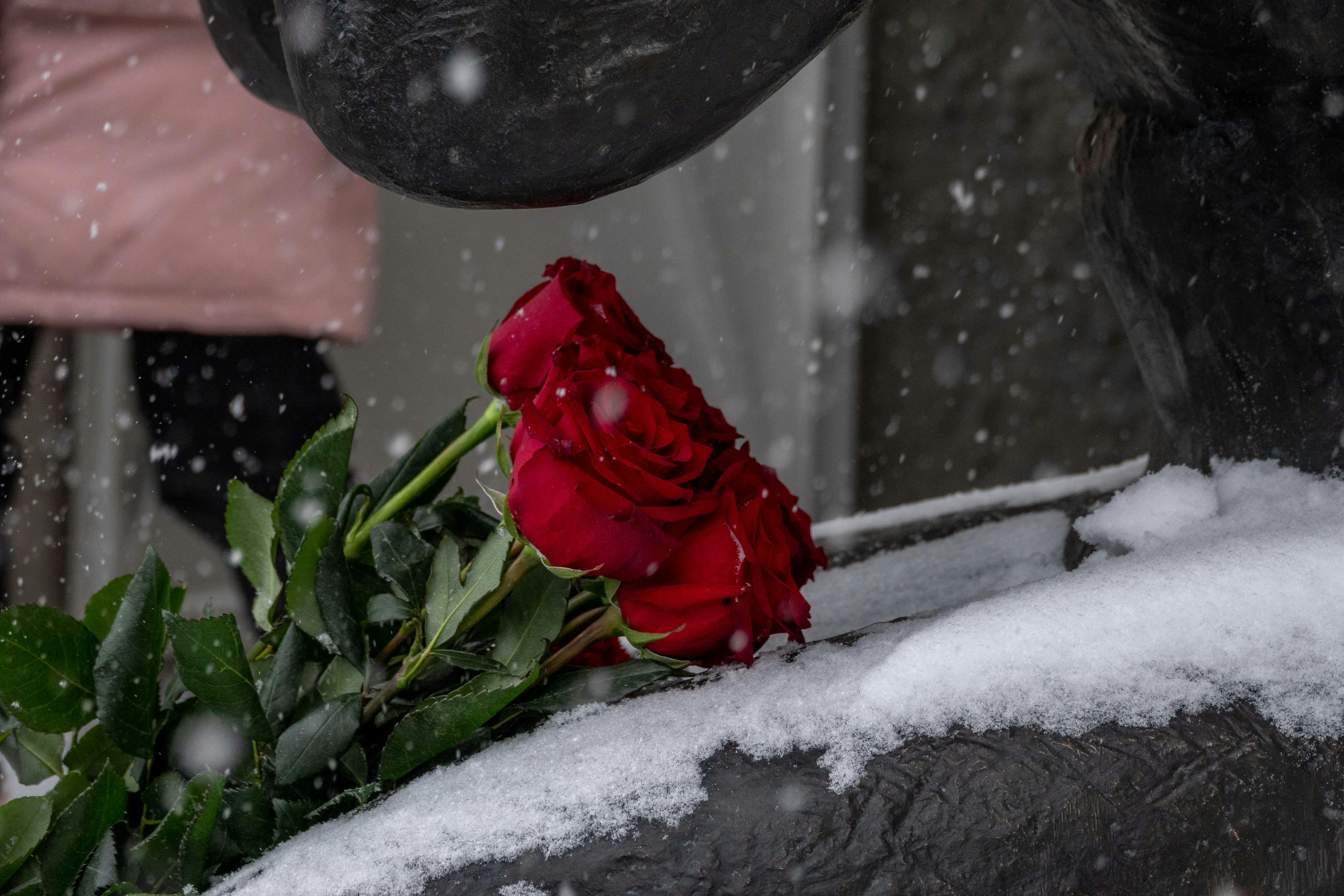 Pogrebne usluge Voždovac